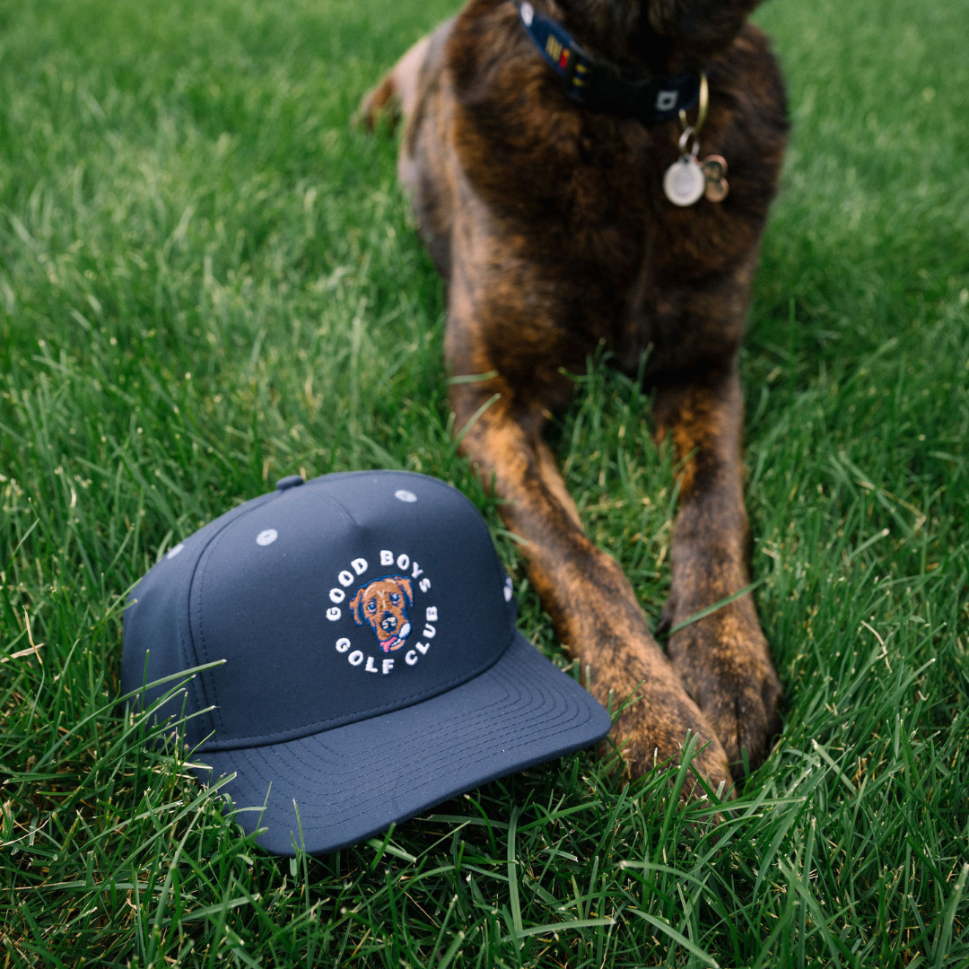 Kooka Low Cap Navy / Red