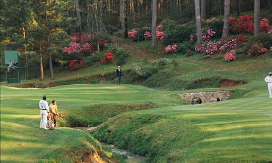 Top 5 Augusta National Caddies of All-Time