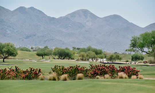 Friday Feature: TPC Scottsdale