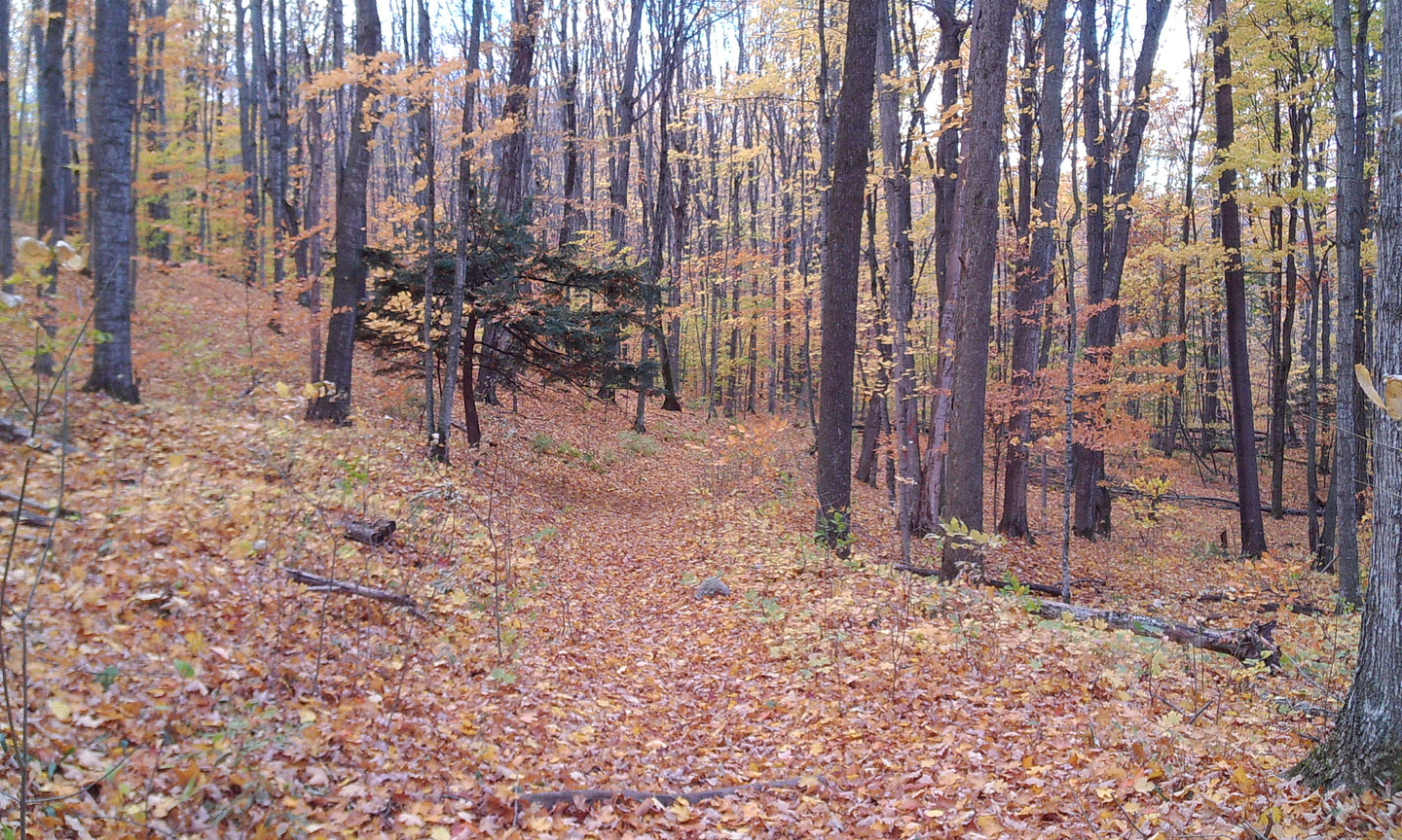 Bogey Camo Collection