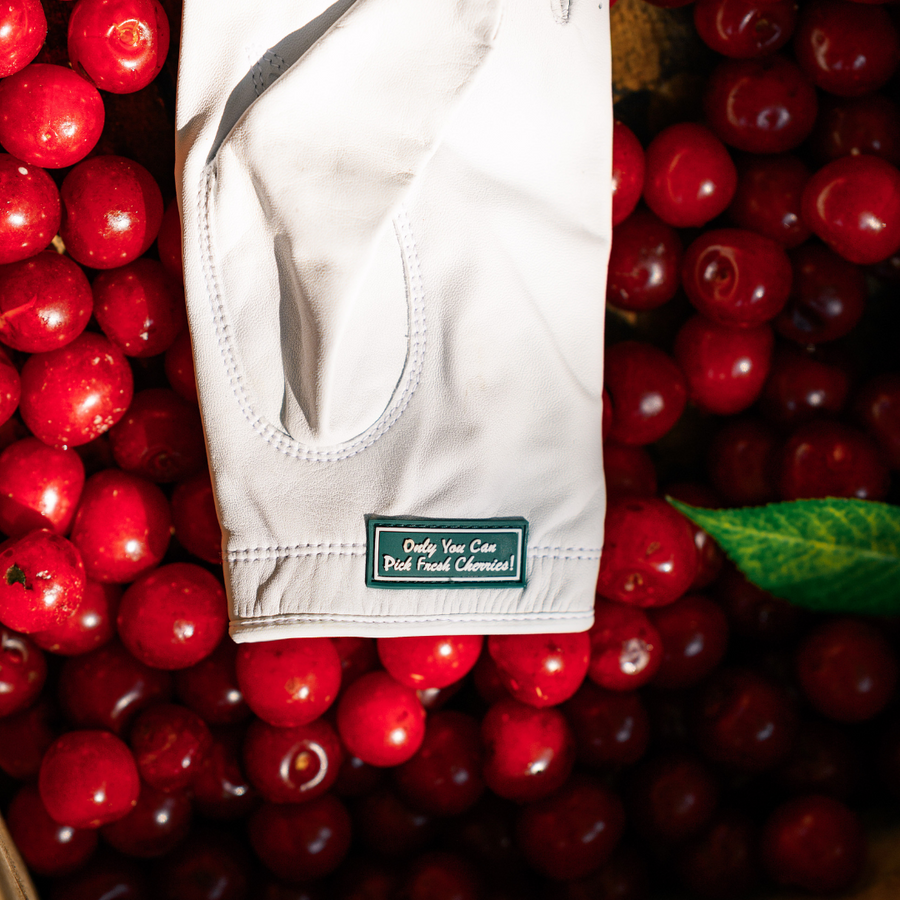 Bogey Cherry Bear Gloves