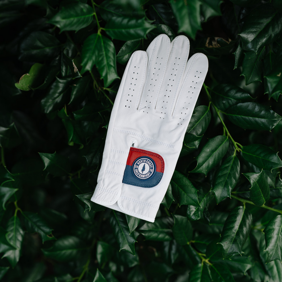 Two-Toned Summer Gloves