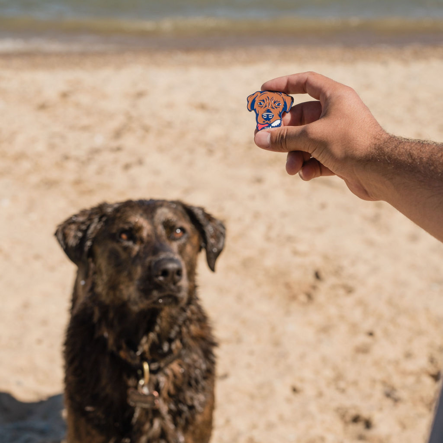 Good Boys Enamel Ball Markers