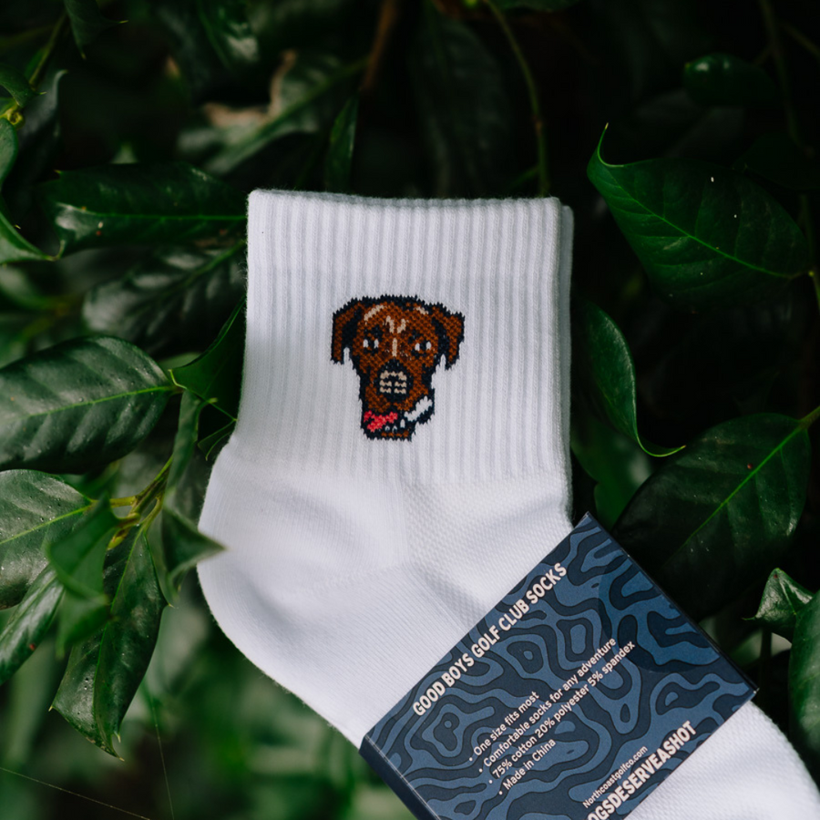 Good Boys Sandy Socks