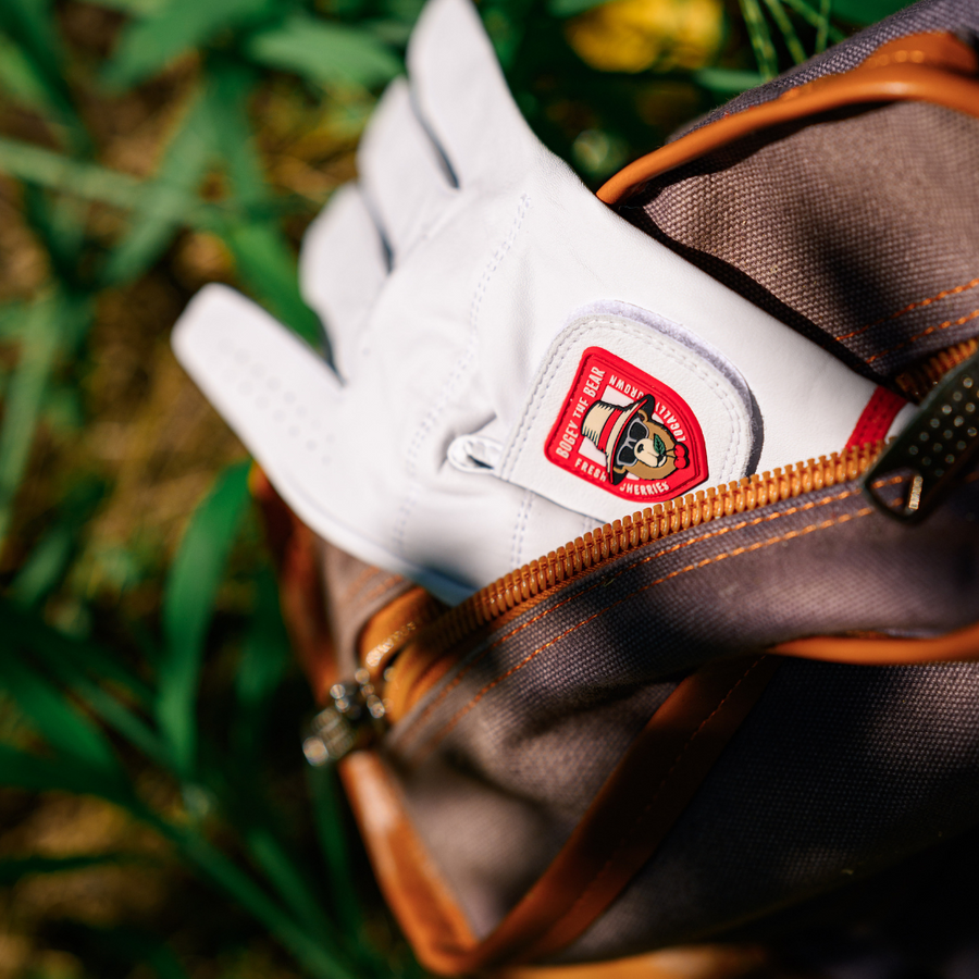 Bogey Cherry Bear Gloves