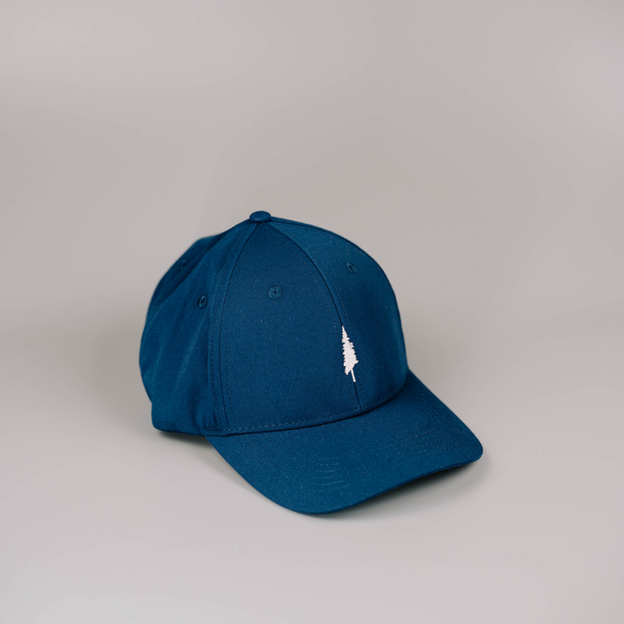 Lone Pines Dad Hat