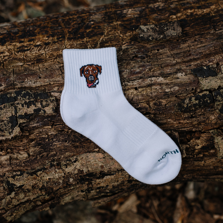 Good Boys Sandy Socks