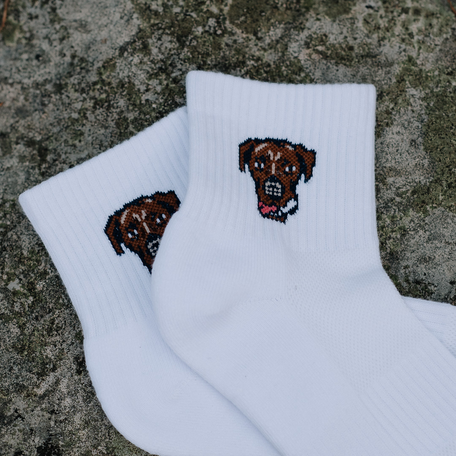 Good Boys Sandy Socks