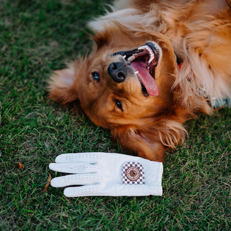 Good Boys Checkered Brown