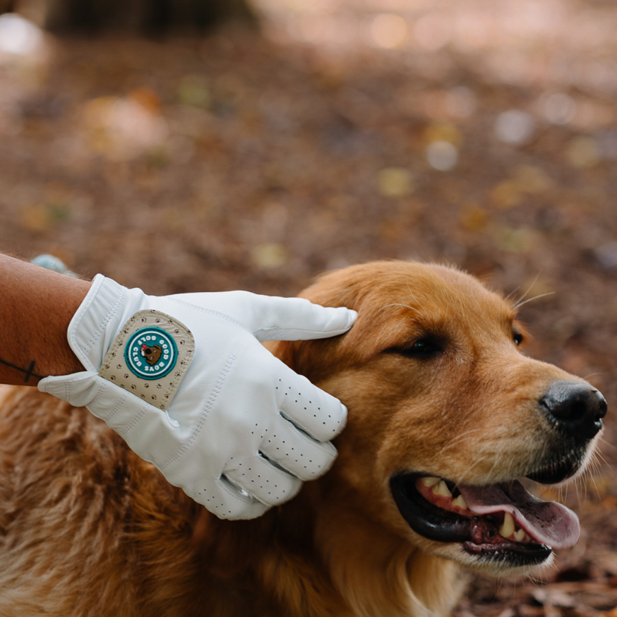 Good Boys Sandy Paws Glove