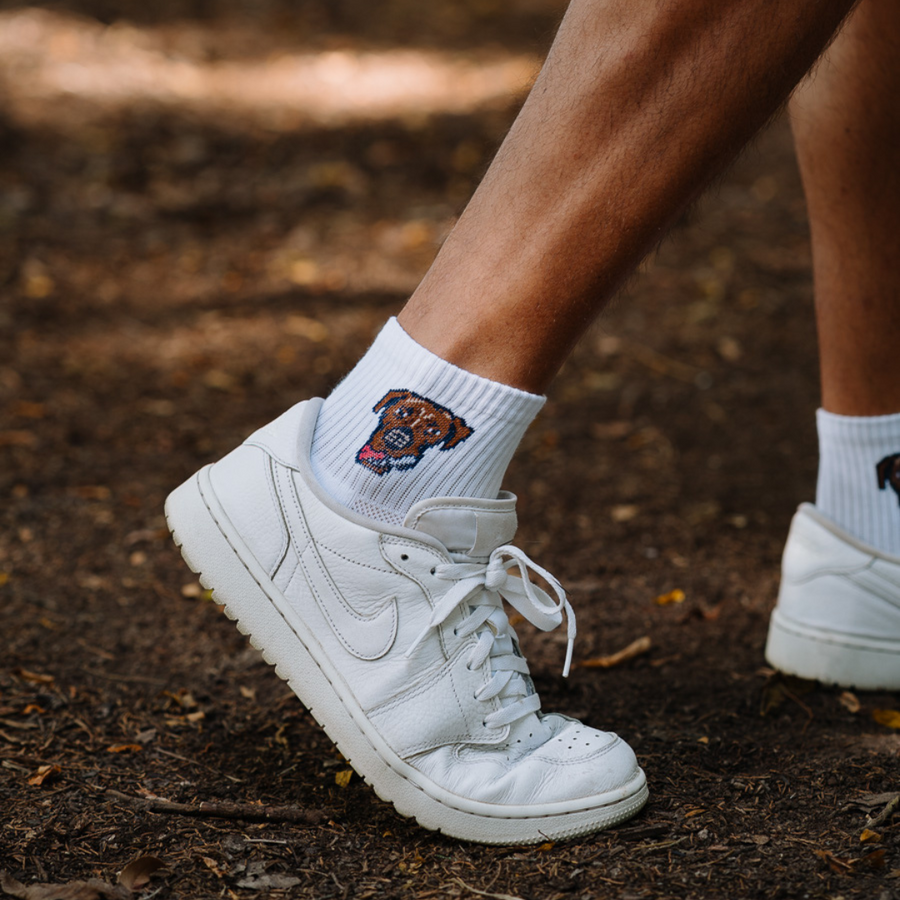 Good Boys Sandy Socks